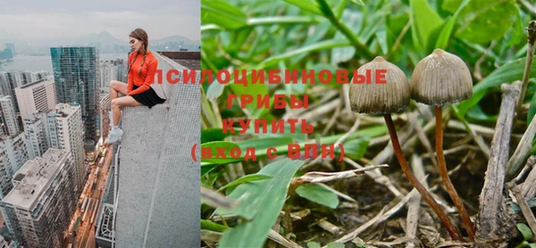 меф Дмитриев