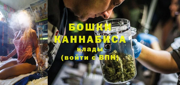 крисы Дмитров