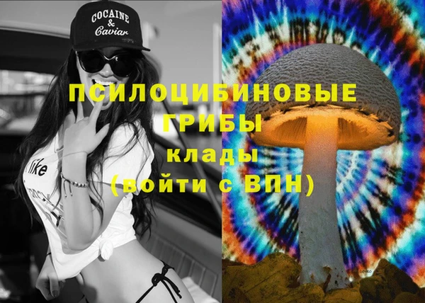 меф Дмитриев