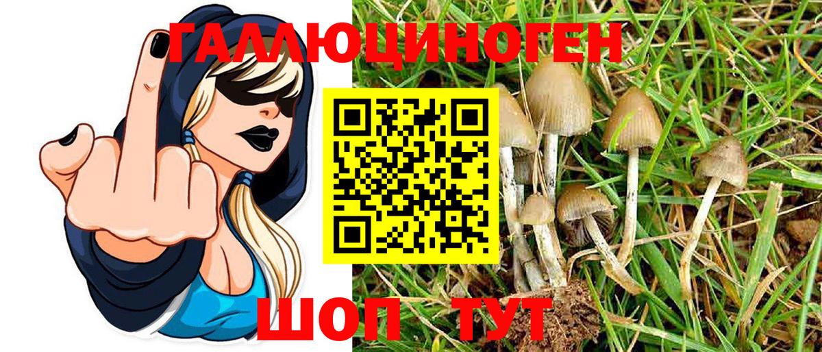 Галлюциногенные грибы Psilocybine cubensis  Галлюциногенные грибы мухоморы  Вход с VPN  Горячий Ключ 