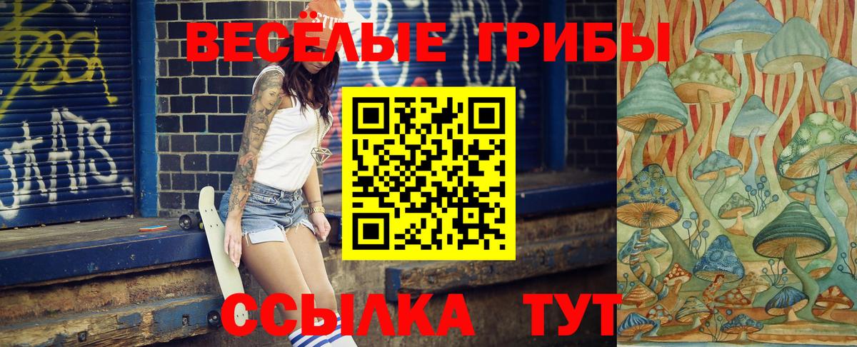 Псилоцибиновые грибы мицелий Горячий Ключ