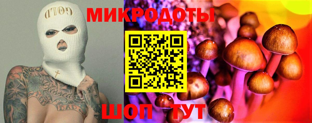 закладки  Горячий Ключ  Галлюциногенные грибы мицелий 