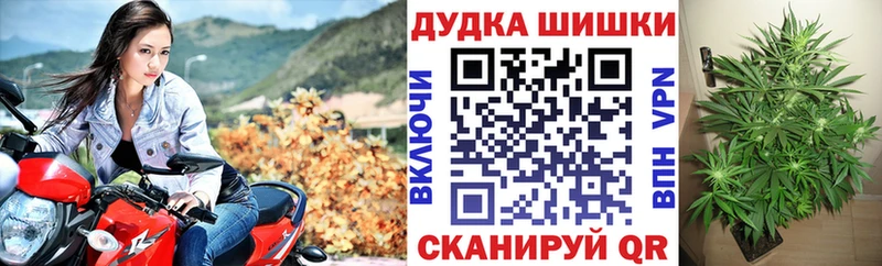 МАРИХУАНА план кракен рабочий сайт Горячий Ключ